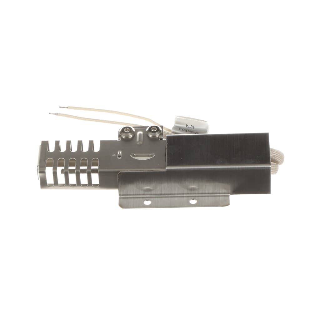 DE81-07469A Allumeur de gril Svc-Asy