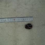 BA96-06269A ASSEMBLY SPEAKER-TWEETER - Samsung Parts USA