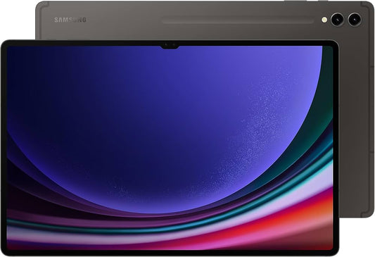 Samsung SM2A256UZK5XAA - Tablette ultra-réactive avec connectivité haut débit