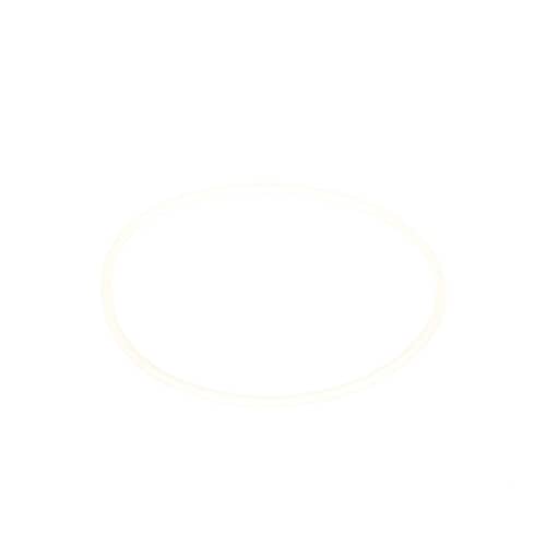 DE81-08744A Svc O Ring D Burner