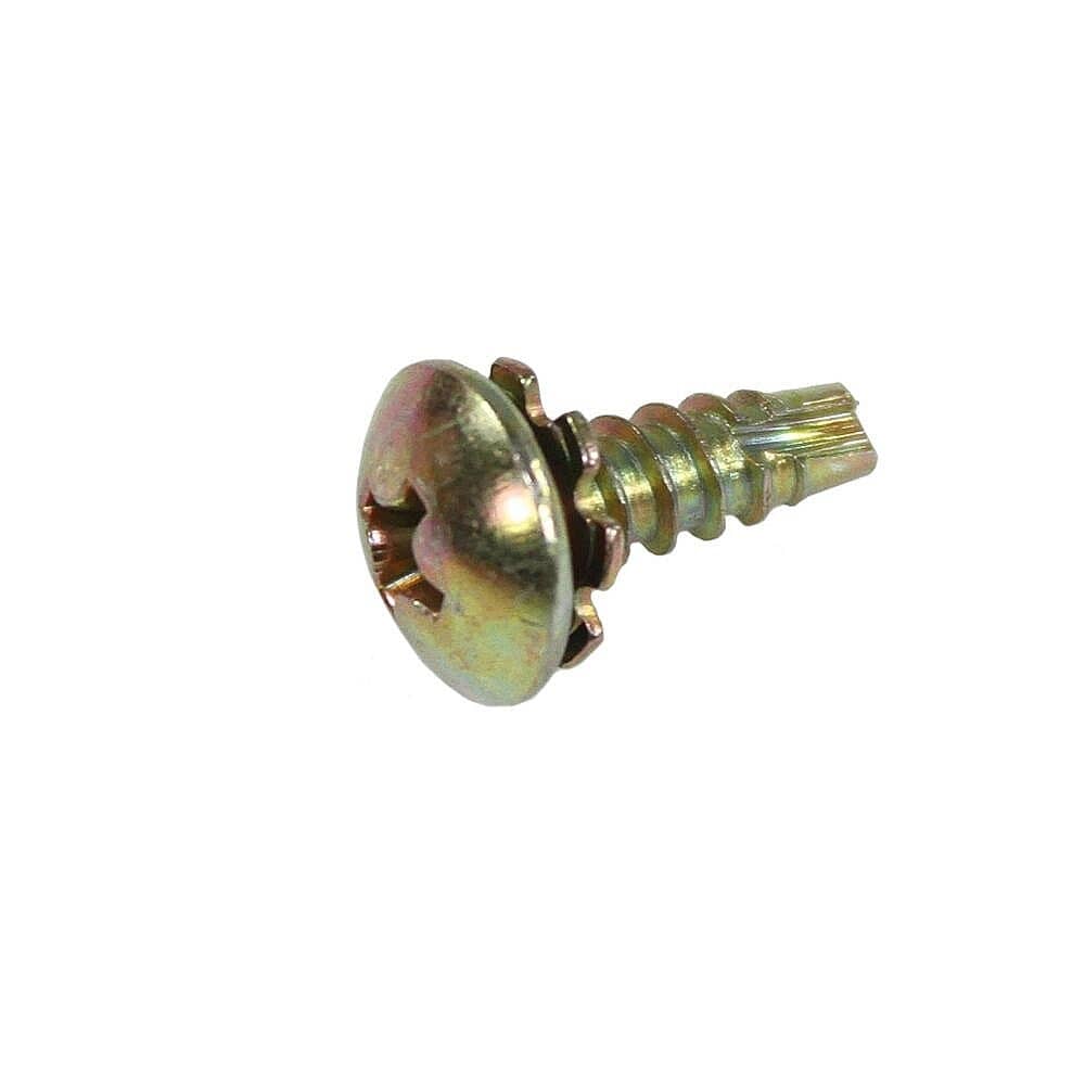 6006-001172 SCREW-TAPPING