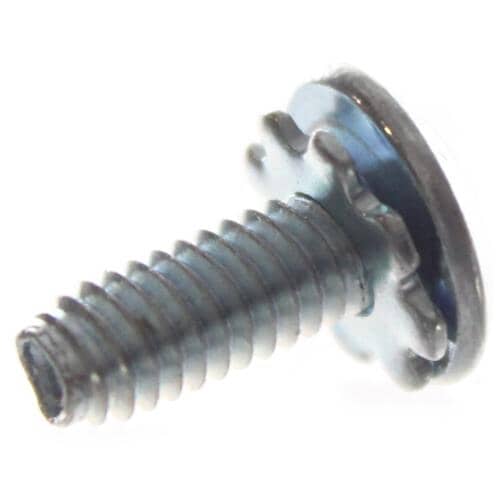 6009-001001 SCREW-SPECIAL