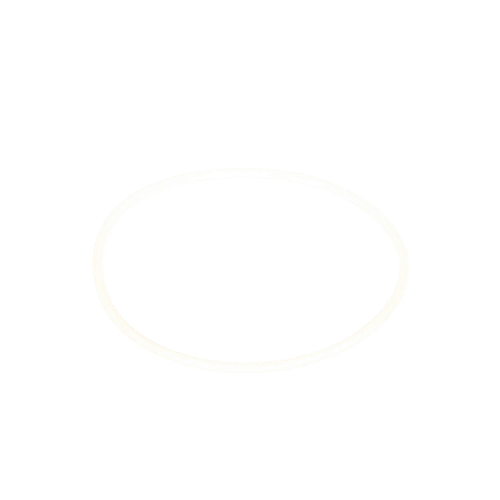 DE81-08744A Svc O Ring D Burner