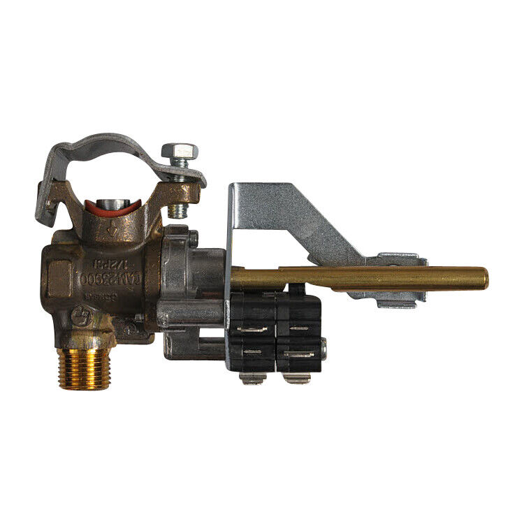 DE81-03482A Svc-Ddual Brnr Valve Pgm36