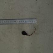 BA39-00598A Wire Harness - Samsung Parts USA